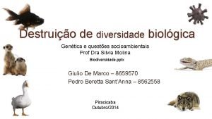 Destruio de diversidade biolgica Gentica e questes socioambientais