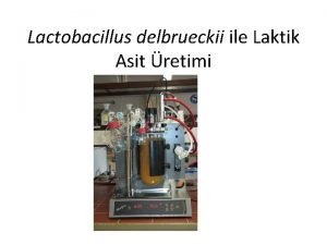 Lactobacillus delbrueckii ile Laktik Asit retimi 1 Besiyeri