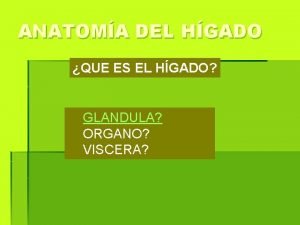 ANATOMA DEL HGADO QUE ES EL HGADO GLANDULA