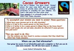 Cacao growers