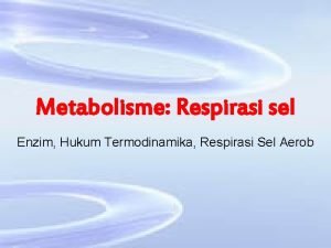 Metabolisme Respirasi sel Enzim Hukum Termodinamika Respirasi Sel