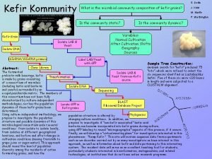 Kefir Kommunity S Dellis What is the microbial