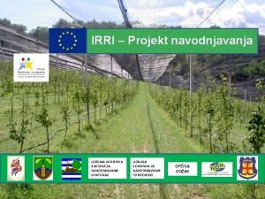 IRRI Projekt navodnjavanja UDRUGA KORISNIKA SUSTAVA ZA NAVODNJAVANJE