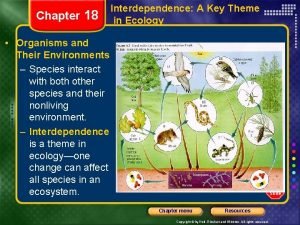 Chapter 18 Interdependence A Key Theme in Ecology