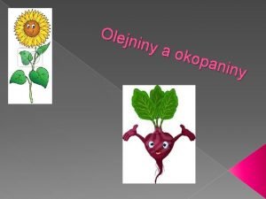 Poľné plodiny okopaniny Poľné plodiny okopaniny