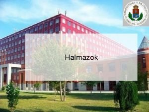 Halmazok Halmaz flesgek 1 Halmaz eleme uni metszet