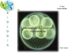 Vantagens da multicelularidade