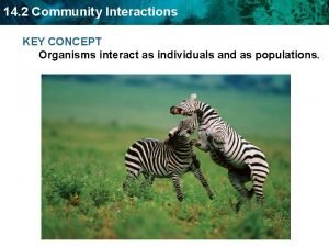 14 2 Community Interactions KEY CONCEPT Organisms interact