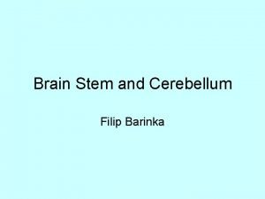 Brain Stem and Cerebellum Filip Barinka Brainstem Critically