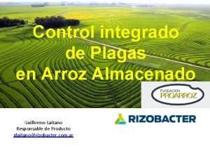 Control integrado de Plagas en Arroz Almacenado Guillermo