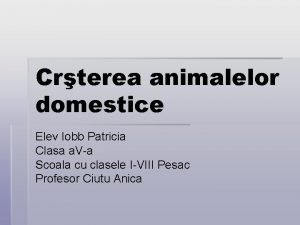 Crterea animalelor domestice Elev Iobb Patricia Clasa a