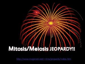 MitosisMeiosis JEOPARDY Jeopardy Mitosis Meiosis Chromosomes Cell Cycle