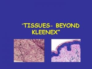 TISSUES BEYOND KLEENEX What is a tissue Groups