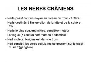 LES NERFS CR NIENS Nerfs possdant un noyau