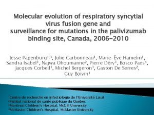 Molecular evolution of respiratory syncytial virus fusion gene