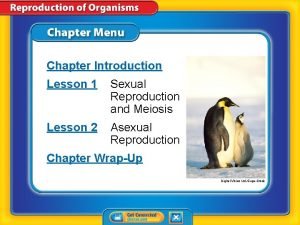 Connecting the concepts sexual reproduction