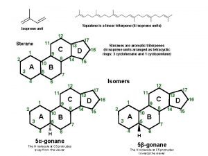 Lanosterol isoprene units