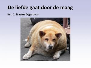 De liefde gaat door de maag Hst 1