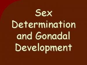Sex Determination and Gonadal Development chromosomal sex determination