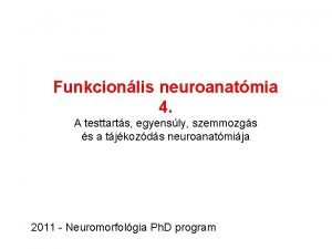 Funkcionlis neuroanatmia 4 A testtarts egyensly szemmozgs s