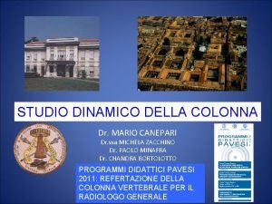 STUDIO DINAMICO DELLA COLONNA Dr MARIO CANEPARI Dr