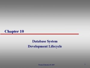 Database system development lifecycle