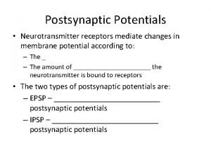 Postsynaptic Potentials Neurotransmitter receptors mediate changes in membrane
