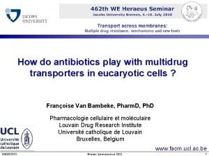 How do antibiotics play with multidrug transporters in