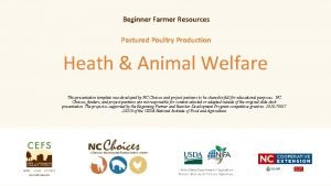 Poultry farmer resources