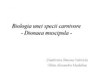 Biologia unei specii carnivore Dionaea muscipula Dumbrava Simona