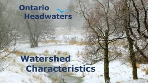 Characteristics of a watershed