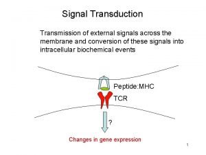 Signal Transduction Transmission of external signals across the