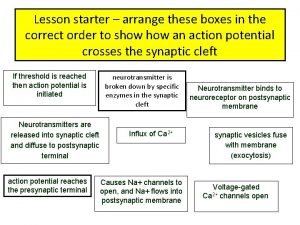 Temporal vs spatial summation