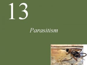 13 Parasitism Chapter 13 Parasitism Enslaver Parasites A