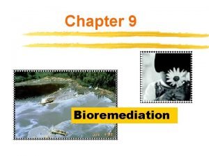 Chapter 9 Bioremediation Biotechnology and the Environment v