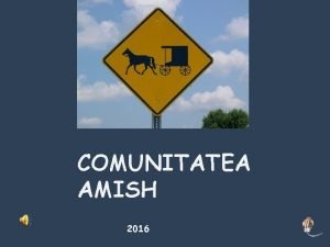 Comunitatea amish