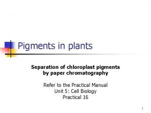 Phaeophytin rf value