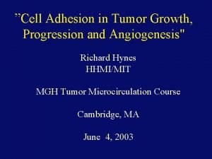 Cell Adhesion in Tumor Growth Progression and Angiogenesis