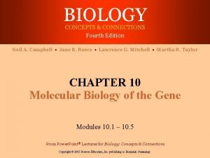 BIOLOGY CONCEPTS CONNECTIONS Fourth Edition Neil A Campbell