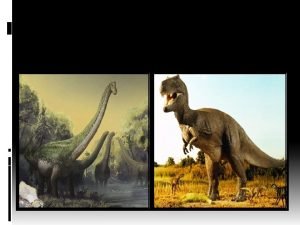 Eras of dinosaurs