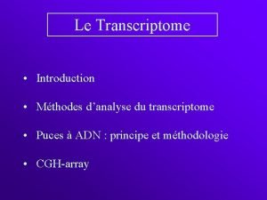 Le Transcriptome Introduction Mthodes danalyse du transcriptome Puces