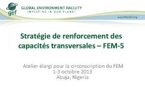 Stratgie de renforcement des capacits transversales FEM5 Atelier