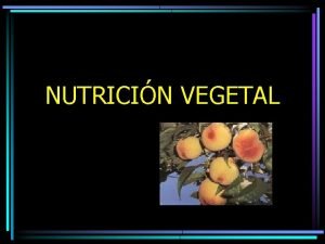 NUTRICIN VEGETAL Necesidades de las plantas Todos los
