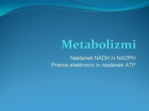 Citratni ciklus