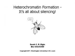 Heterochromatin Formation Its all about silencing Shhh Sarah