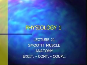 PHYSIOLOGY 1 LECTURE 21 SMOOTH MUSCLE ANATOMY EXCIT