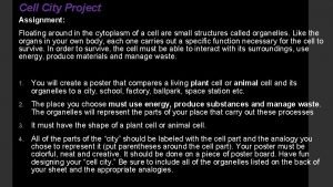 Cell city project examples