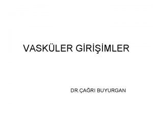 VASKLER GRMLER DR ARI BUYURGAN VASKLER GRMLER Birden