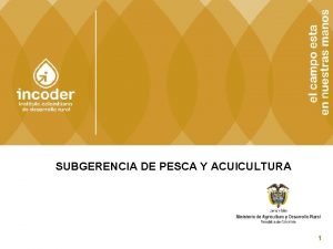 SUBGERENCIA DE PESCA Y ACUICULTURA 1 ACCIONES IMPLEMENTADAS