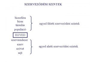 SZERVEZDSI SZINTEK bioszfra biom trsuls populci egyed feletti